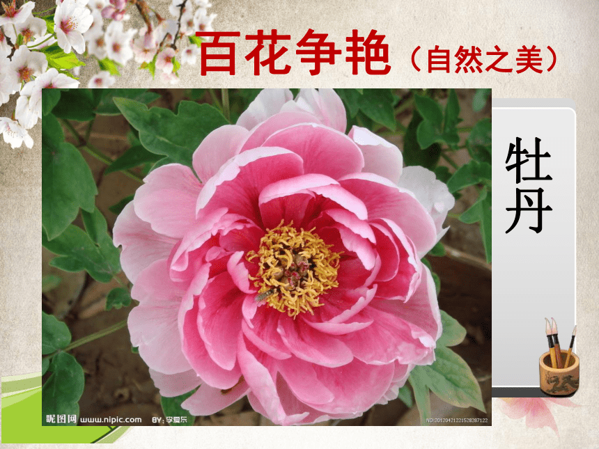 湘美版美术四年级上册 花儿朵朵（课件）(共17张PPT)