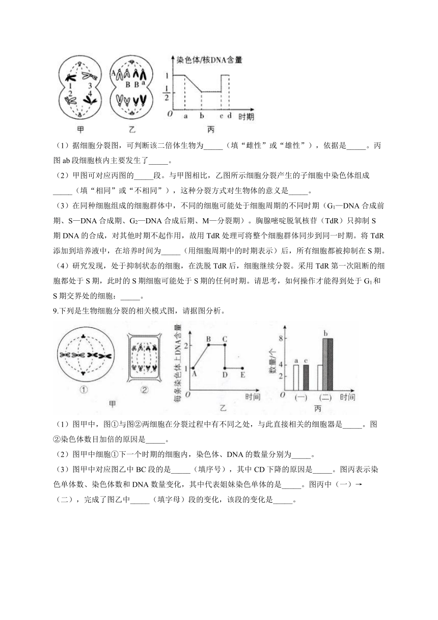 细胞的生命历程——暑假作业（含解析）2022-2023学年高二生物人教版（2019）