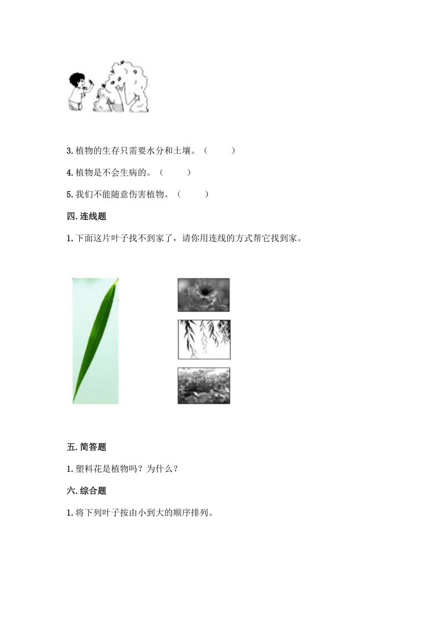 2021-2022学年教科版（2017秋）科学一年级上册第一单元 植物 单元测试卷（含答案）