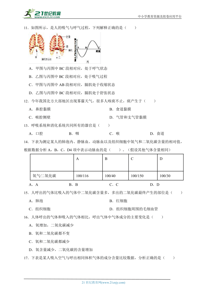 2023届北师大版生物一轮复习训练卷十   专题10人体的能量供应（含解析）