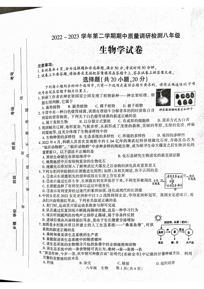 河南省洛阳市伊川县2022-2023学年八年级下学期期中生物试题（pdf版无答案）