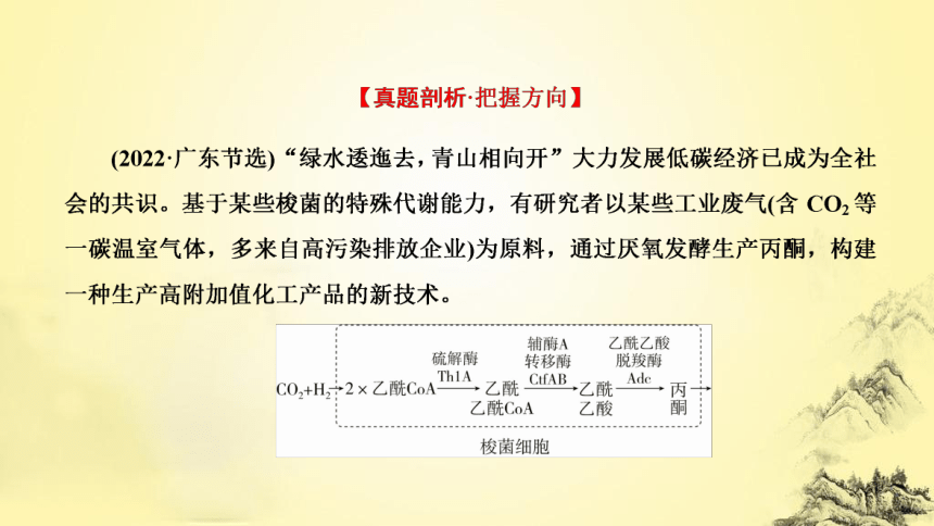 新人教生物二轮复习课件16 基因工程(课件共42张PPT)