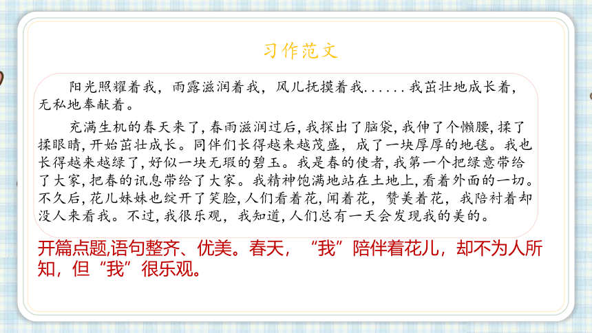 习作 变形记课件（24张PPT)