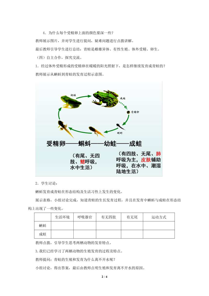 济南版八年级生物上册 4.2.2两栖动物的生殖和发育 教案