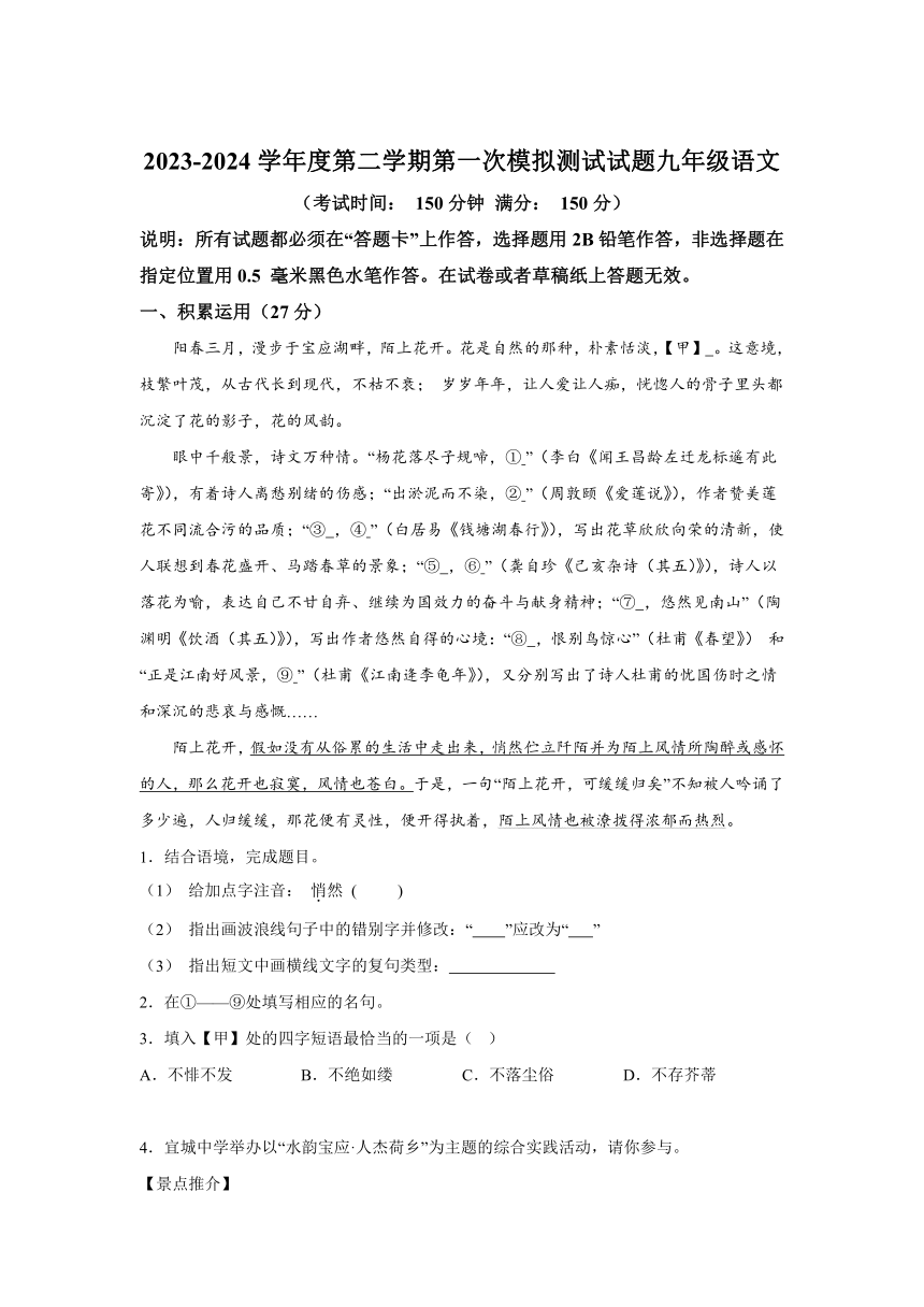 2024年江苏省扬州市宝应县中考一模语文试题(含解析)