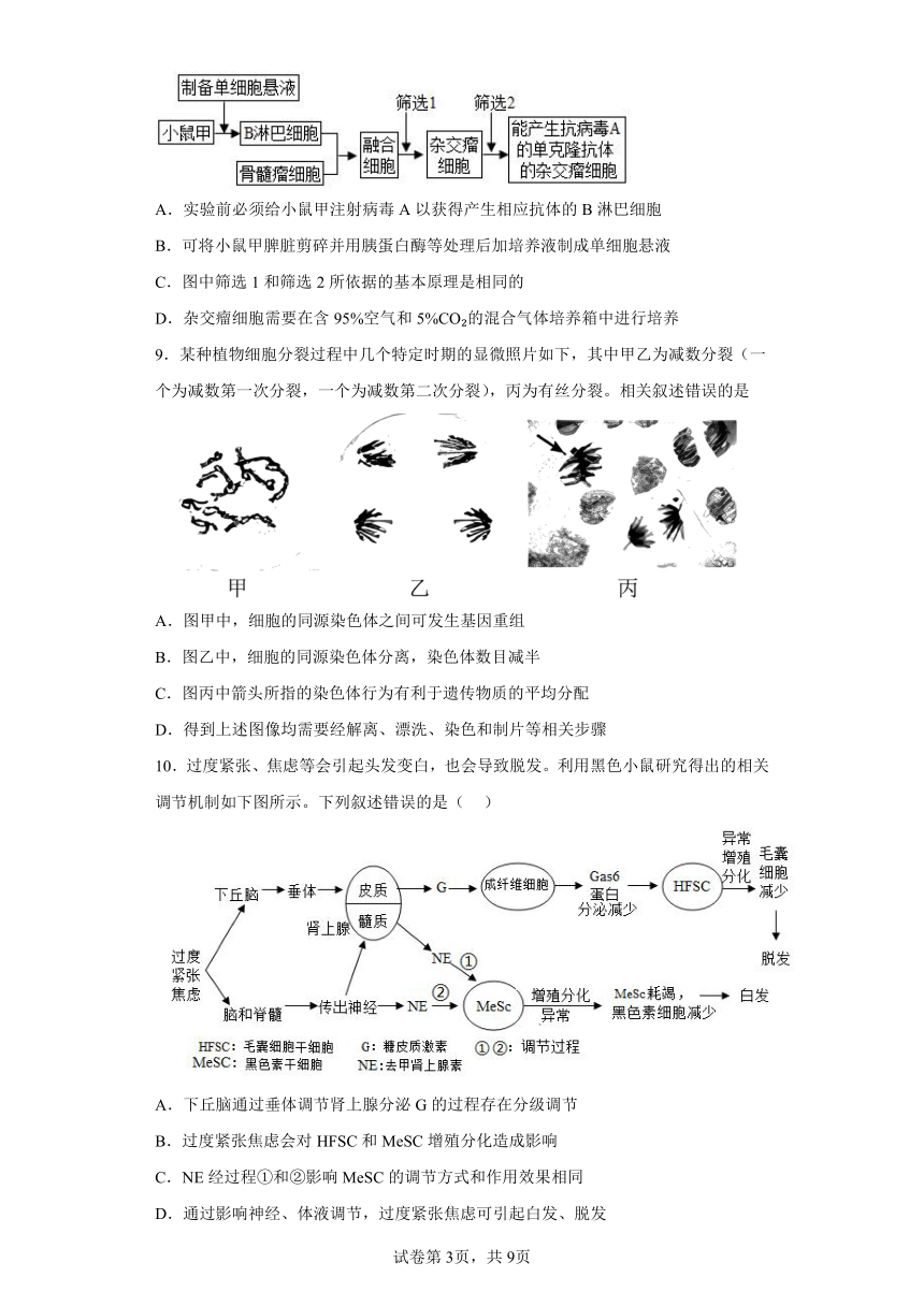 2023届天津市南开中学高三第六次模拟考试生物试题（含解析）