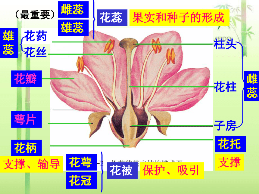 初中生物济南版八年级上册本册综合生物八年级上册总复习(济南版).ppt（160张PPT）