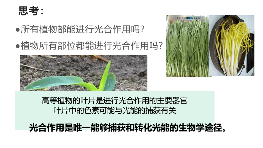 5.4光合作用与能量转化课件(共35张PPT有1份视频)2022—2023学年高一上学期生物人教版必修1