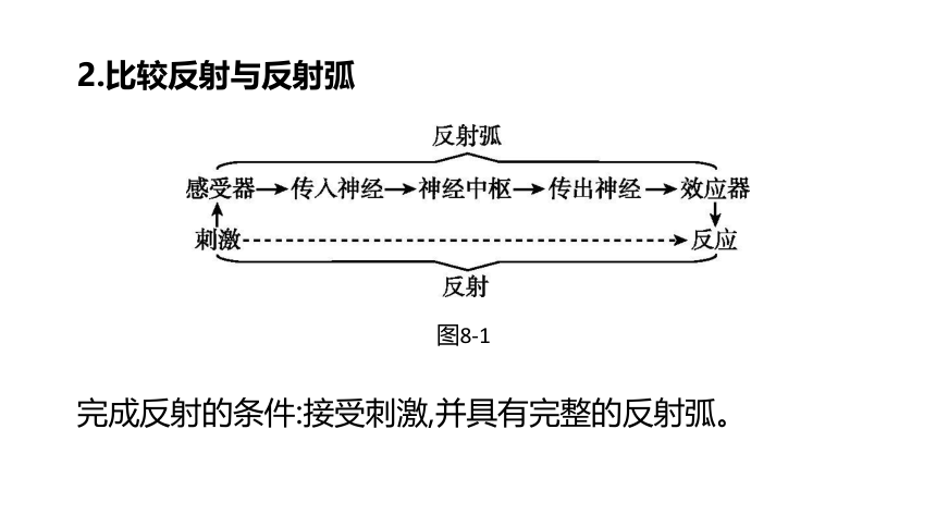 2022年浙江省中考科学一轮复习 第08课时　生命活动的调节（课件 38张PPT）