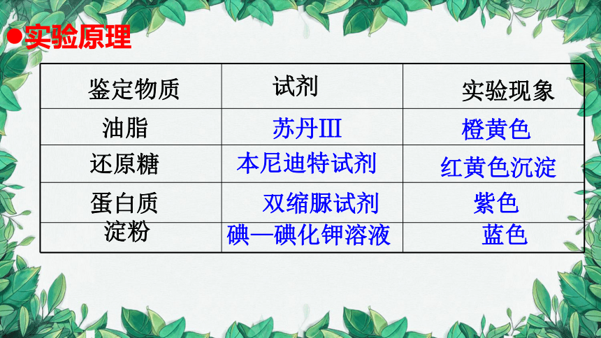 浙科版（2019）生物必修一 1.2.3核酸和有机物的检测课件（共15张PPT）