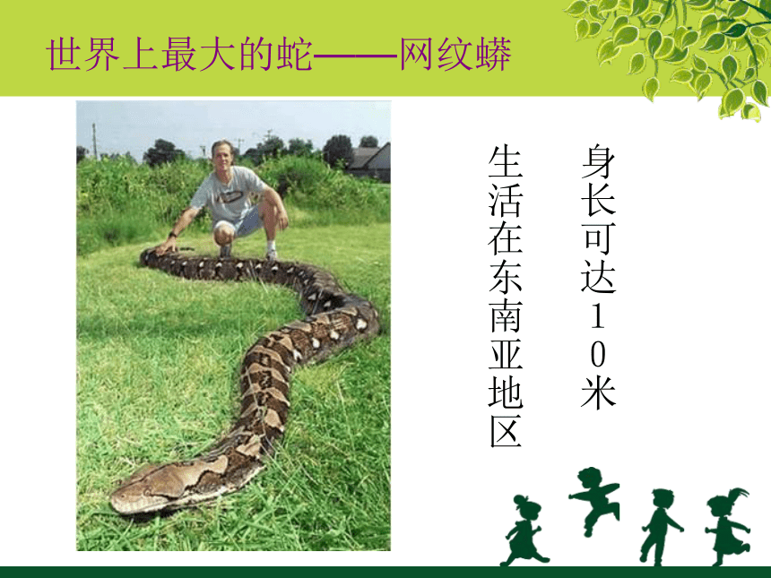 岭南版2年级上册美术 6可爱的玩具蛇 课件(共13张PPT)