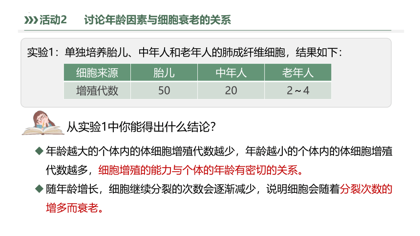 6.3细胞的衰老和死亡（共30张ppt）高中生物人教版（2019）必修1