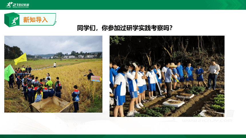 综合实践活动指引六年级《走读深圳》第2单元 行走深圳+研学分享  课件