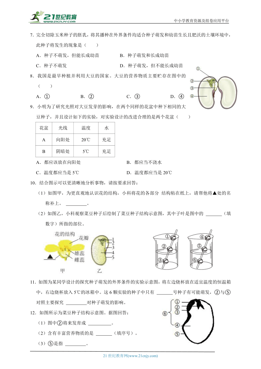 浙教版七下科学期中专题02 动物的生长时期与植物的一生（含答案）