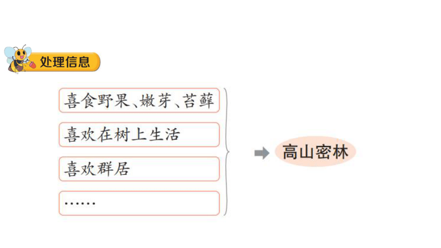 大象版六年级科学下册 1.2  金丝猴的家 课件(共17张PPT 含练习)