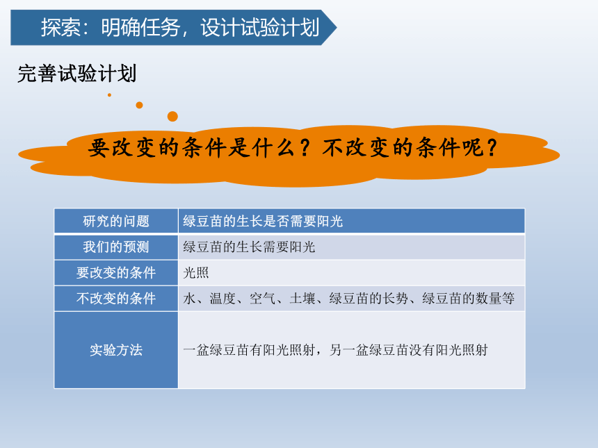 教科版（2017秋）小学科学2.3  五年级下册 绿豆芽的生长 课件  (共19张PPT)