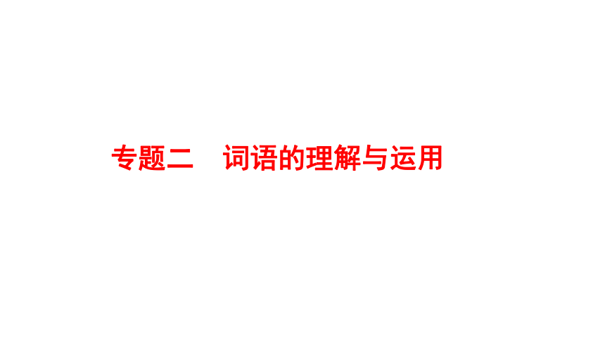 2022年甘肃省中考语文二轮复习课件-词语的理解与运用（共27张ppt）