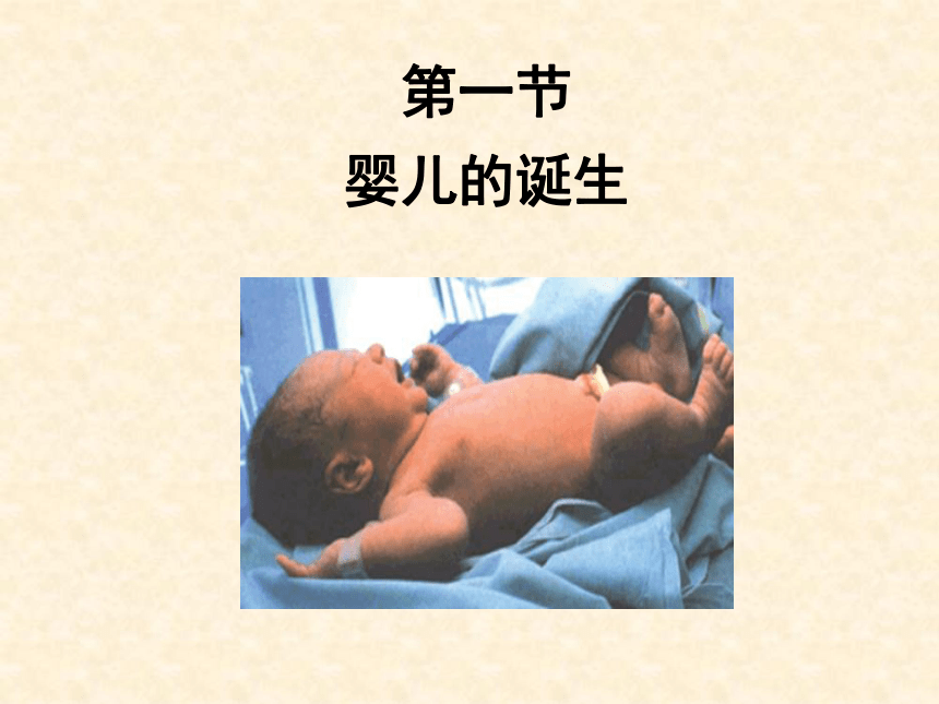 2021-2022学年济南版生物八年级上册4.3.1第一节  婴儿的诞生  课件（共18张PPT）