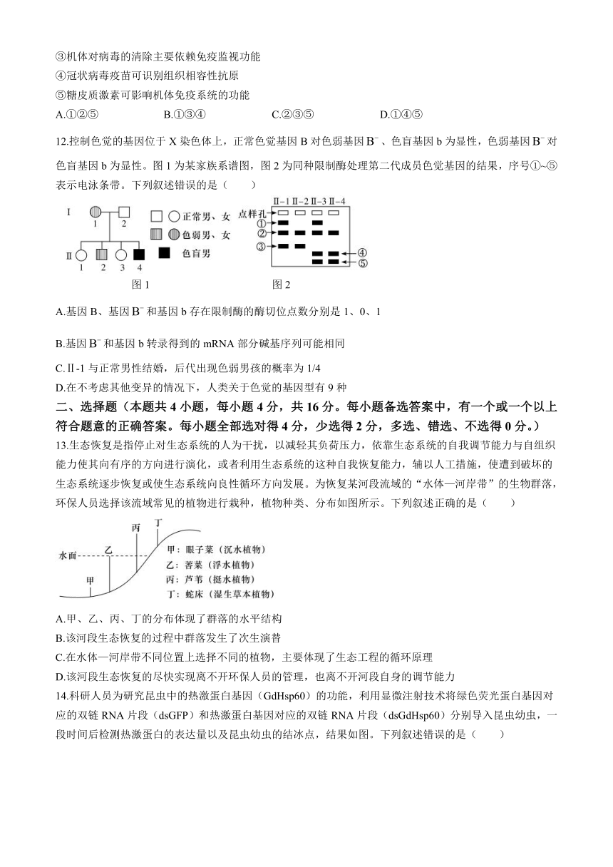 湖南师范大学附属中学2024届高三下学期模拟考试（一）生物试卷（含解析）