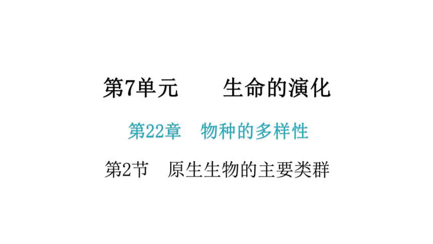 2020-2021学年八年级生物下册（北师大版）22.2  原生生物的主要类群 课件（24张PPT）