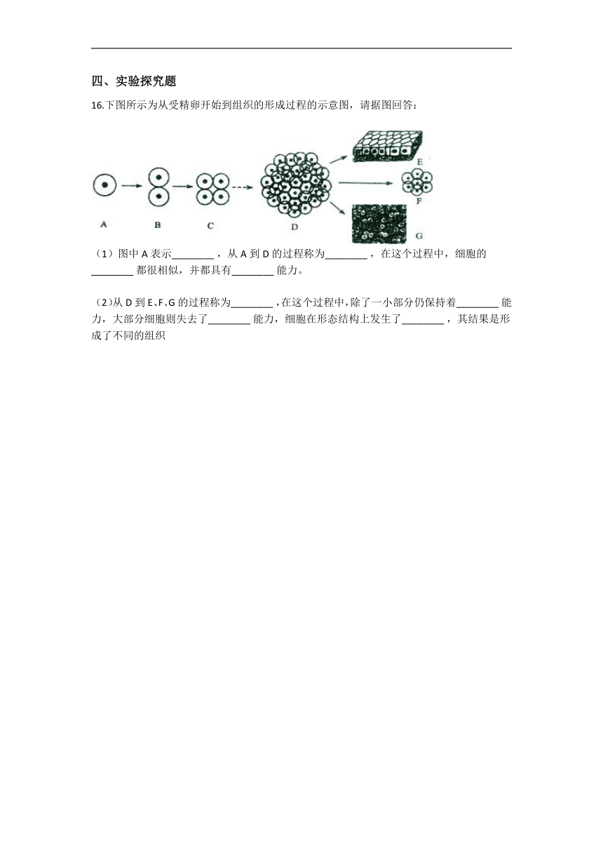 2.3 生物体的结构层次 同步练习（含解析）