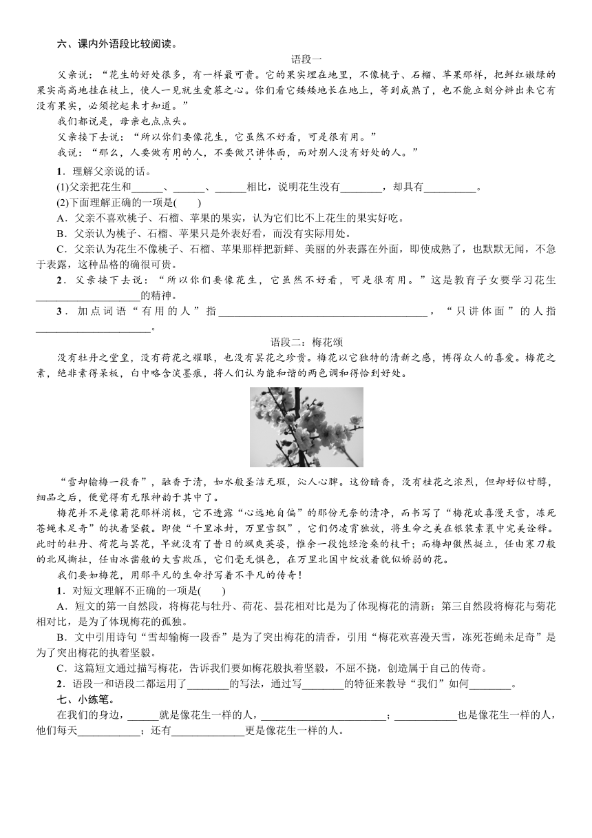 2　落花生 练习题（含答案）