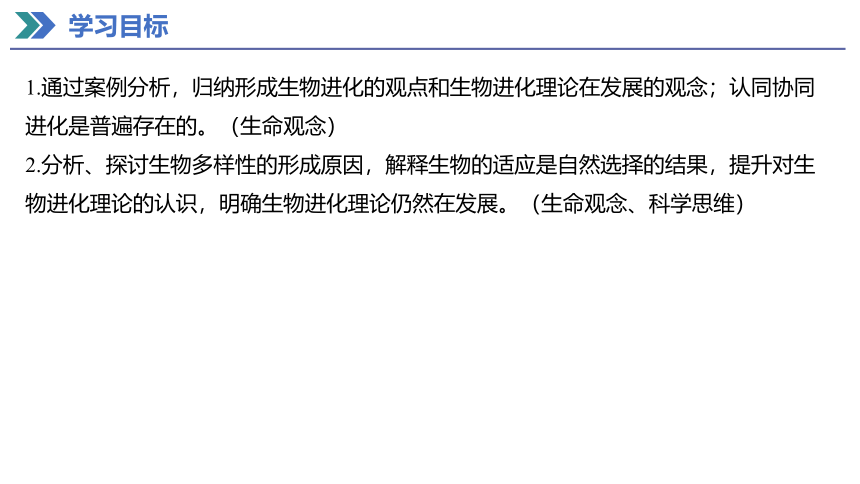 6.4 协同进化与生物多样性的形成 课件(共26张PPT) 2023-2024学年高一生物人教版（2019）必修第二册