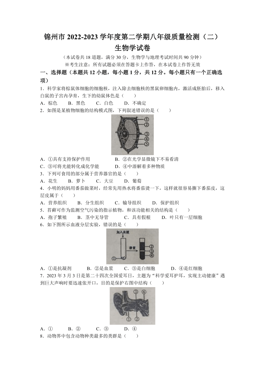 2023年辽宁省锦州市中考二模生物试题(无答案)