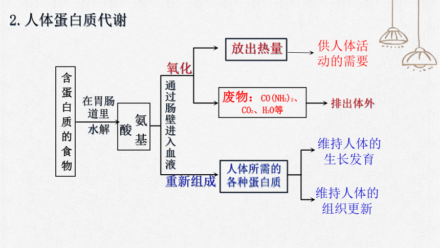 课题12.1 人类重要的营养物质-九年级化学下册课件(共23张PPT)