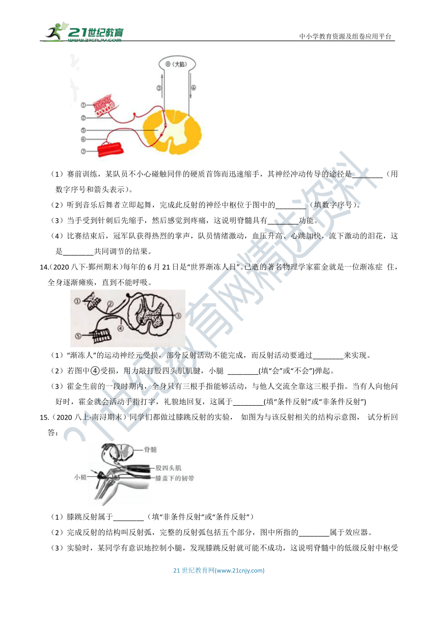【8年级上册同步重难点集训】15 第三章 第3-5节 神经调节、动物行为、体温控制（含答案）