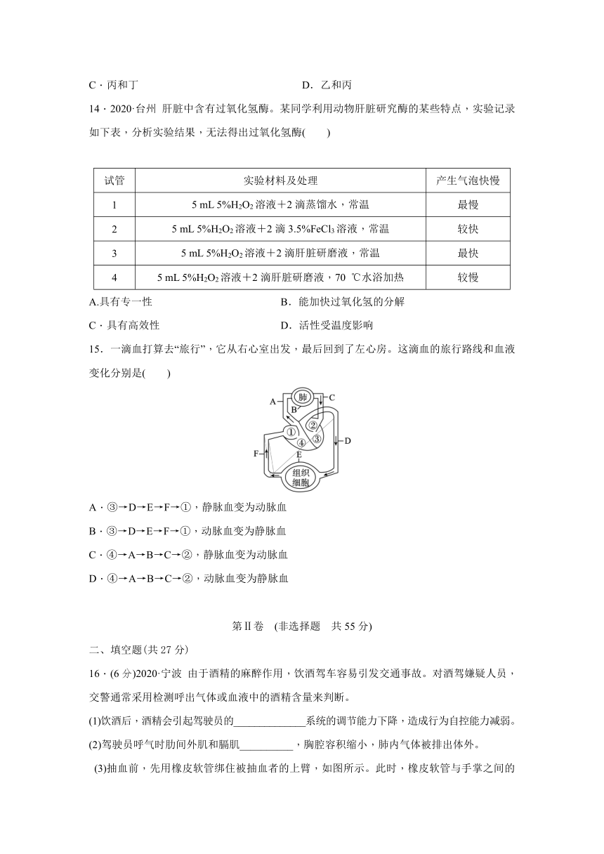 浙教版科学九年级上册同步提优训练：第4章　代谢与平衡  综合提升卷（含解析）