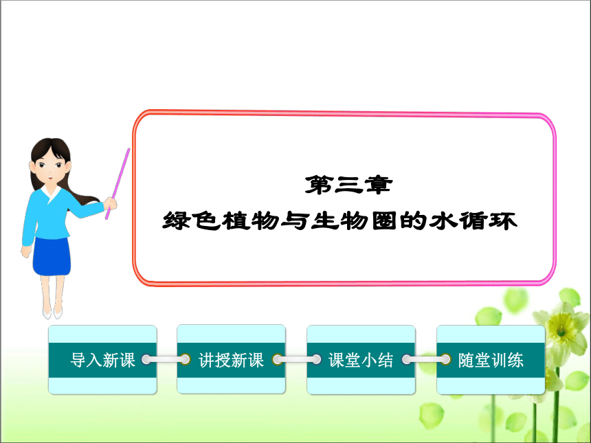 人教版七年级生物 上册 第三单元 第三章 绿色植物与生物圈的水循环 课件（共32张PPT）