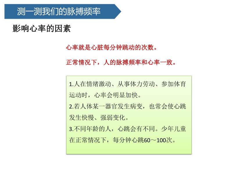 青岛版（六三制2017秋） 五年级下册1.4心脏和血管（课件20ppt）