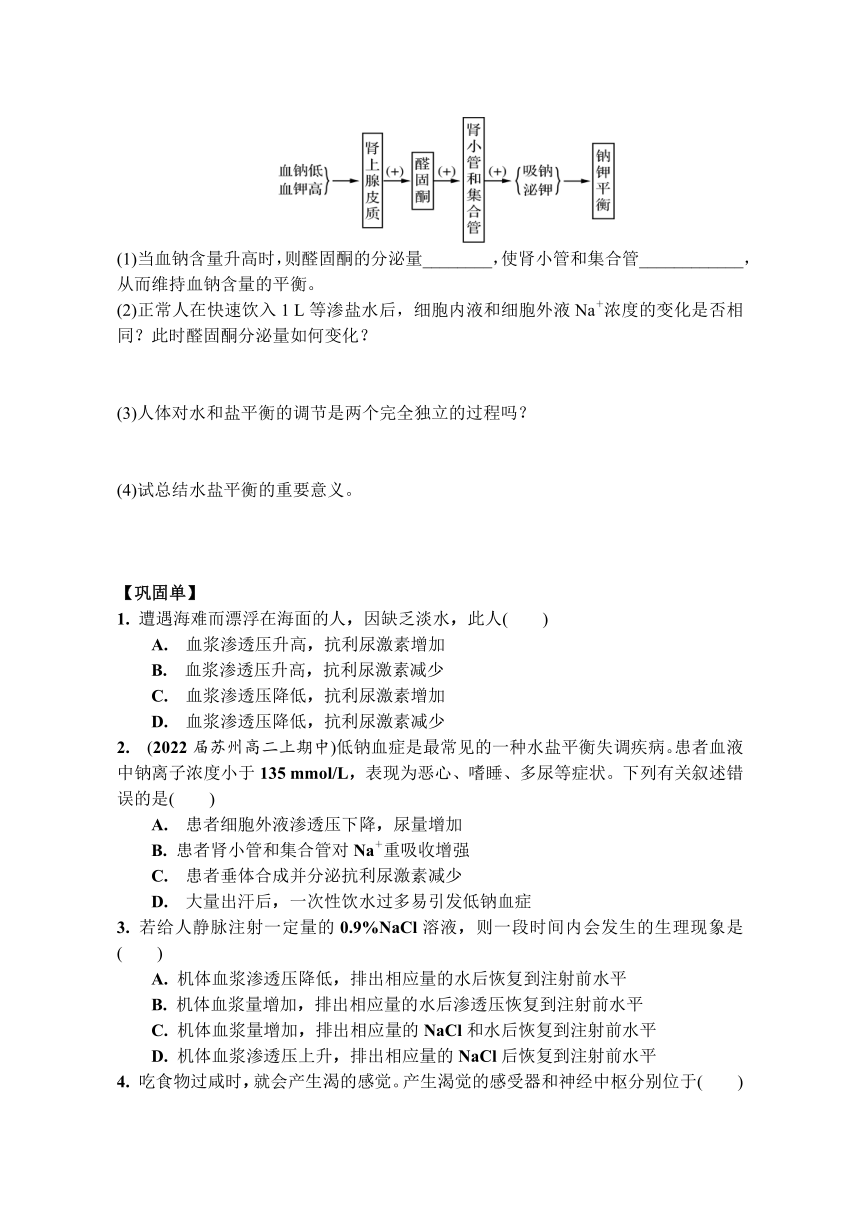 2.3水盐平衡的调节导学案(无答案) 高二上学期生物苏教版选择性必修1