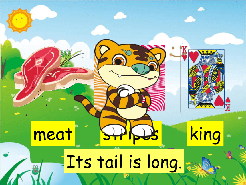 Unit 2  Lesson 8 Tigers and Bears 课件(共17张PPT)