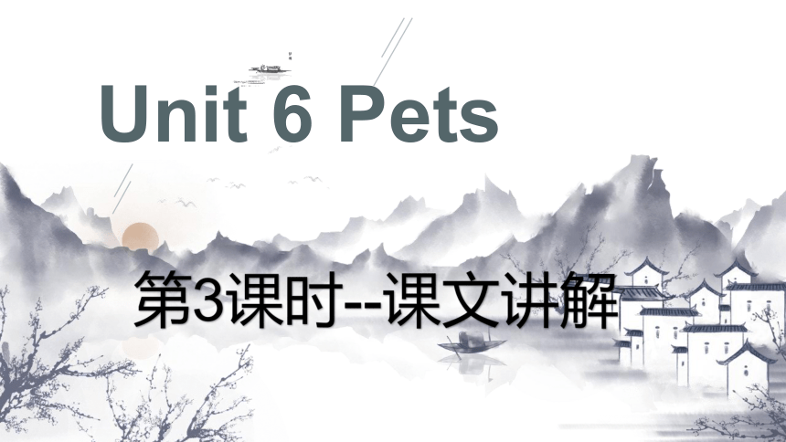 Unit6 Pets第3课时课文讲解-牛津深圳版（广州沈阳通用）八年级英语下册课件(共19张PPT)