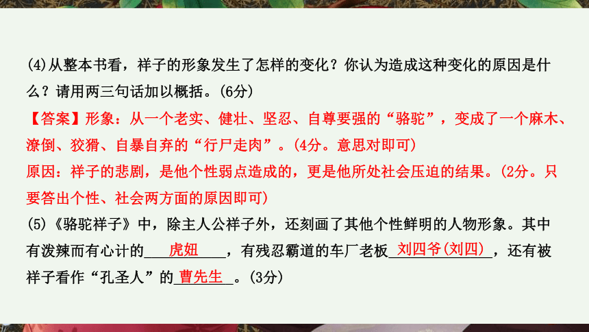 （安徽省）语文中考专题一  名著阅读 课件（91张PPT）