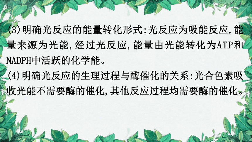 浙科版（2019）生物必修一 第三章第五节课时2 光反应与碳反应的基本过程课件(共36张PPT)