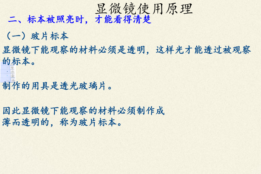 人教版七年级上册生物课件2.1.1练习使用显微镜-课件（43张PPT）