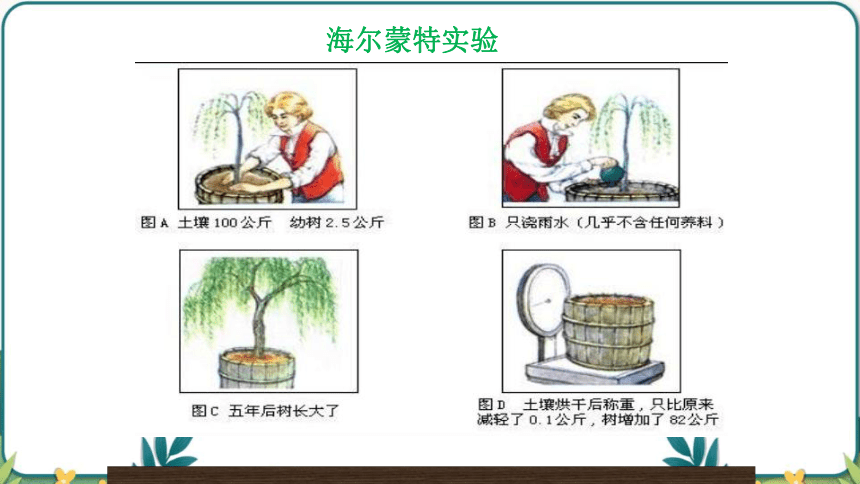 3.5.1光合作用吸收二氧化碳释放氧气课件(共45张PPT) 2022-2023学年人教版生物七年级上册