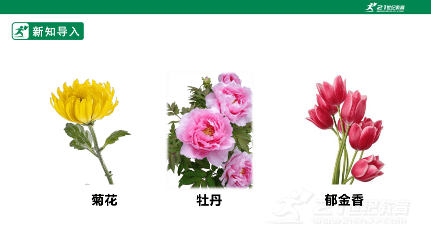 【新课标】1.2《多彩的花》课件（24张PPT）
