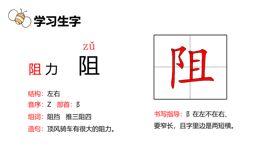 14 蜜蜂 课件(共28张PPT)