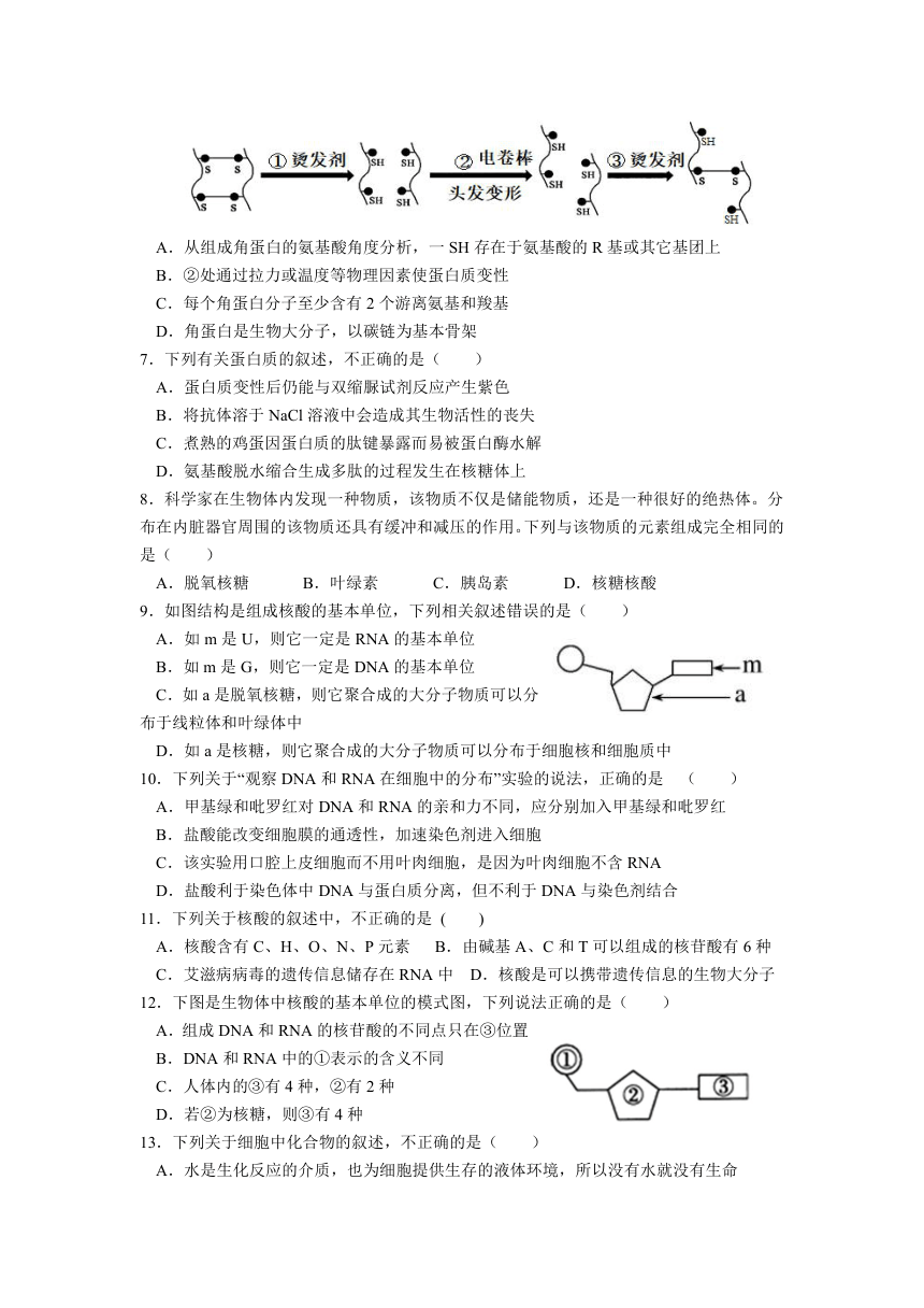 新疆维吾尔自治区呼图壁县第一高级中学2021-2022学年高二上学期期中考试生物试卷（Word版含答案）