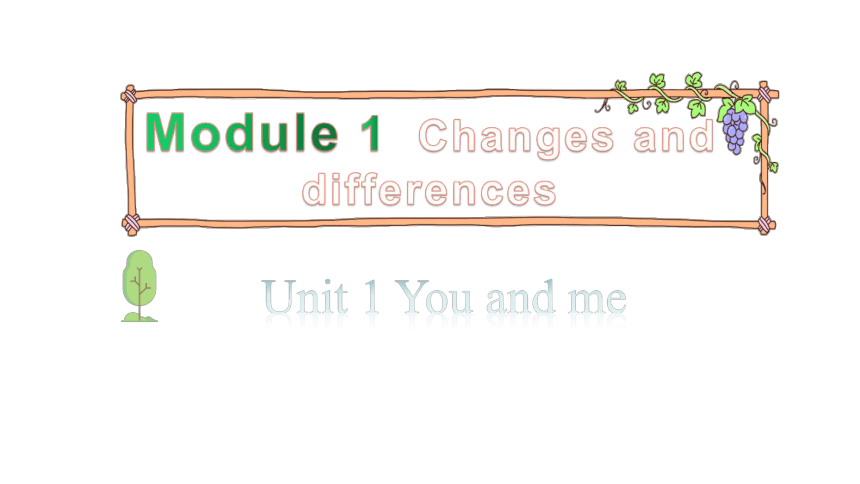 Module 1 Unit 1 You and me 第2课时课件(共13张PPT)
