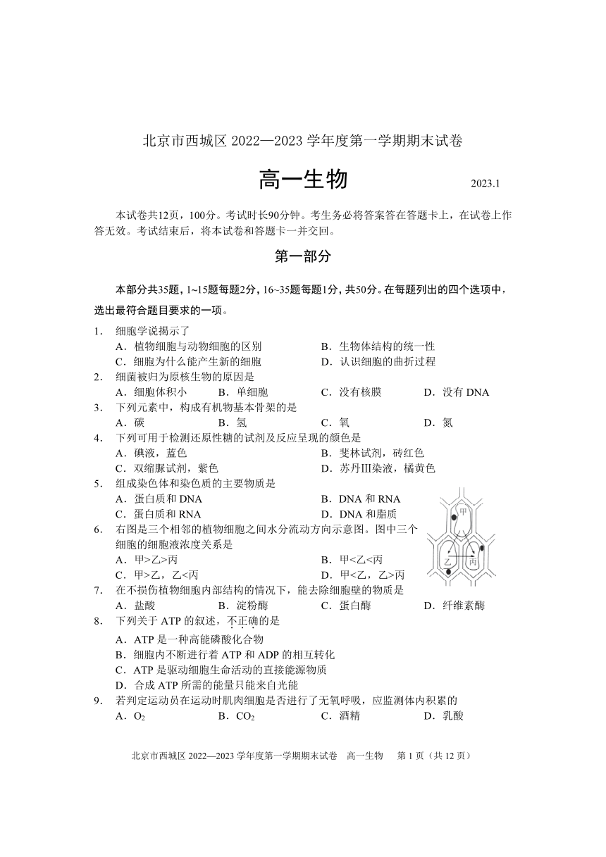 北京市西城区2022-2023学年高一上学期期末考试生物试卷（图片版无答案）