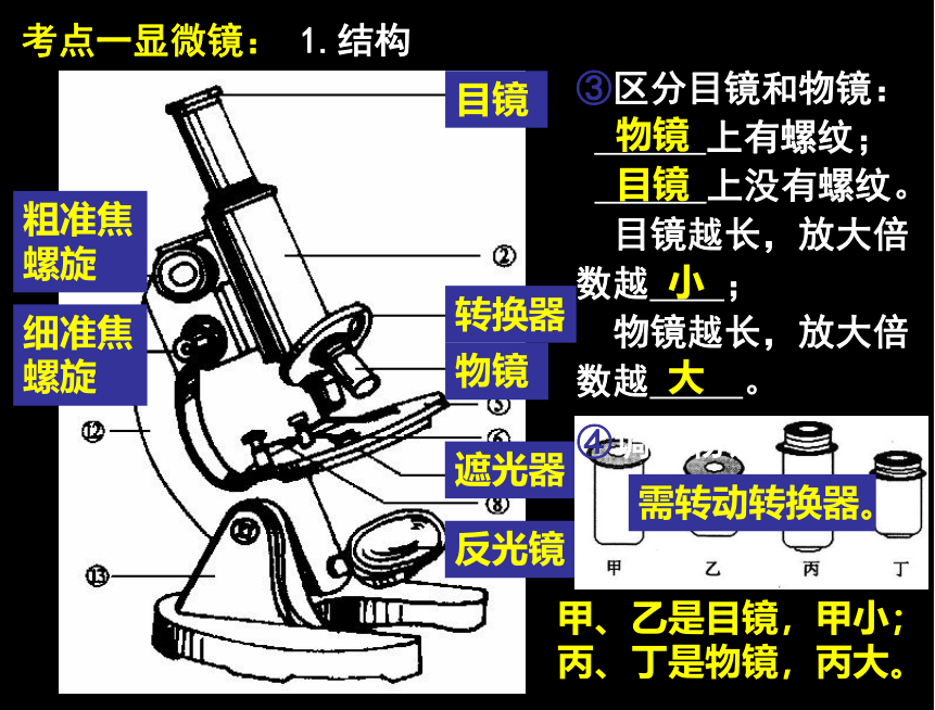 2019专题12：生物技术与显微镜课件(共13张PPT)