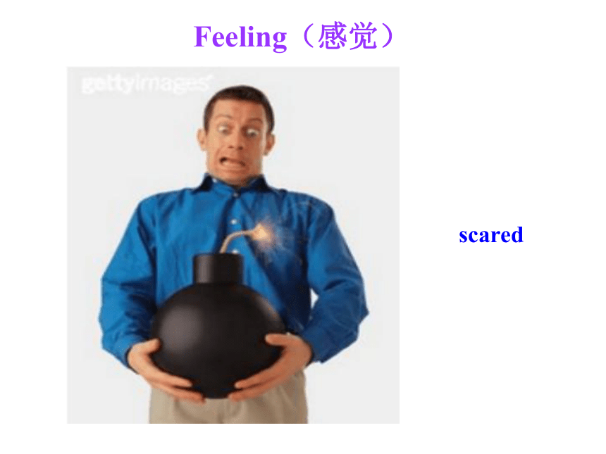 Unit 3 Body parts and feelings Body Lesson 16课件(共23张PPT)
