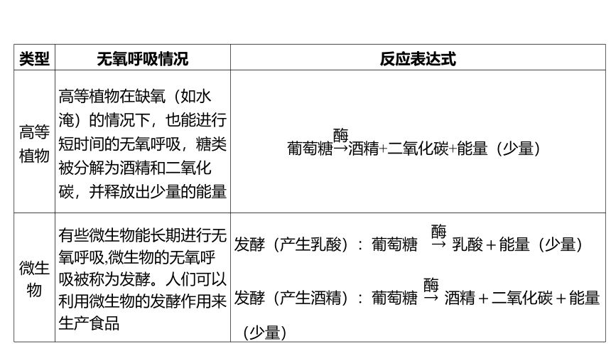 4.4能量的获得（课件 18张PPT)