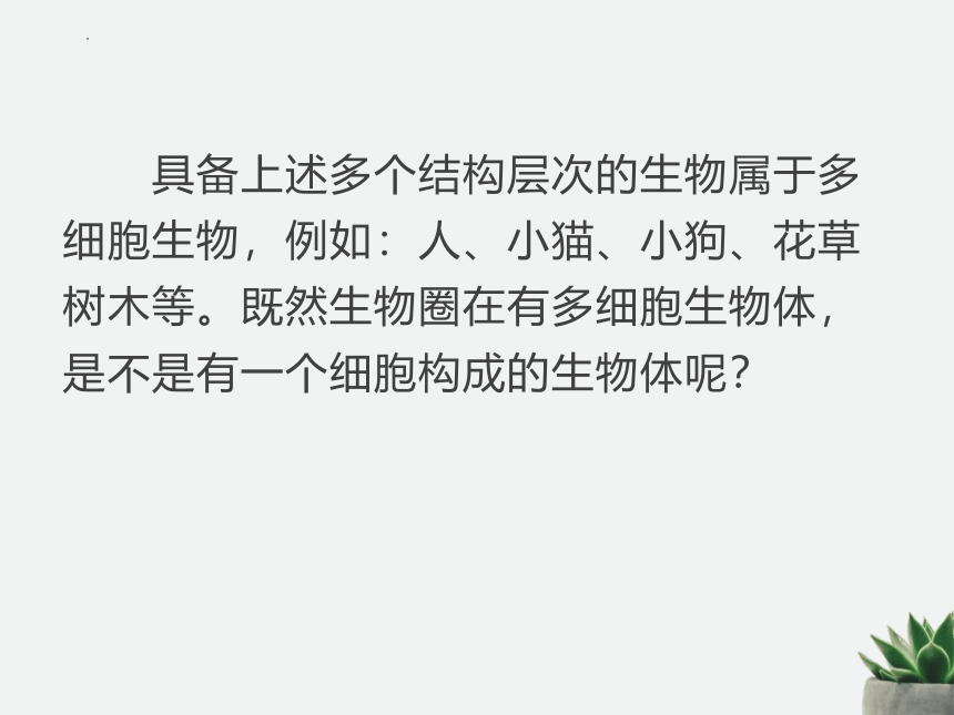 人教版生物七年级上册 2.2.4 单细胞生物 课件(共26张PPT)