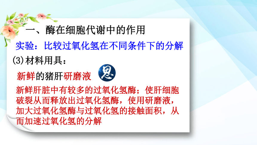 高中生物人教版（2019）必修1第5章  第1节 降低化学反应活化能的酶 课件( 47张PPT)